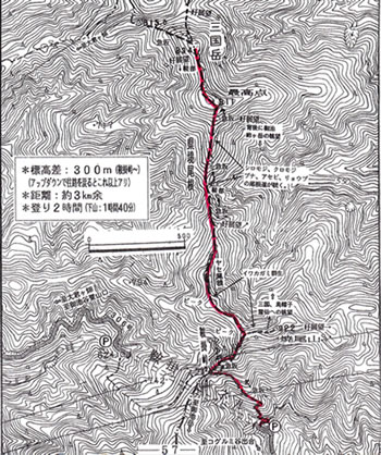 登山ルート