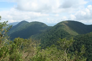 静馬ヶ原辺りから『御座峰(右)』
『三国岳(左)』を望む 伊吹山北尾根「御座峰(1070m)」登山