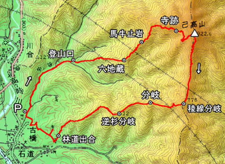 地図