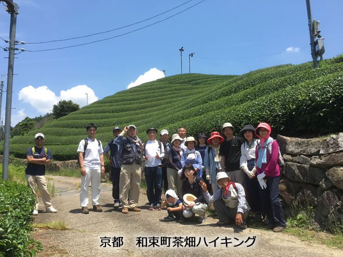 京都北山トレイル
