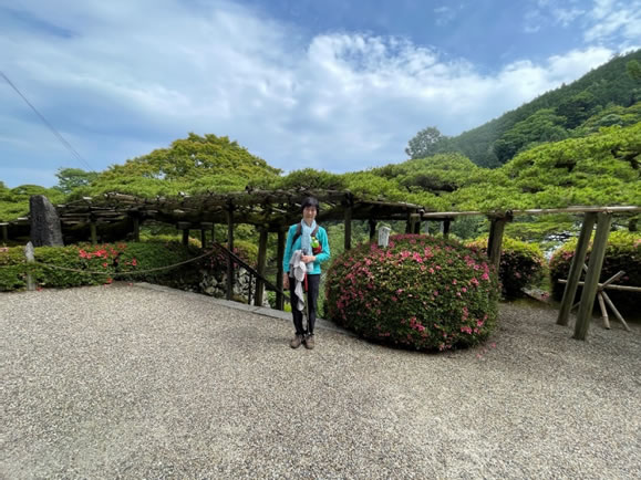 善峯寺 天然記念物遊龍の松を背景に